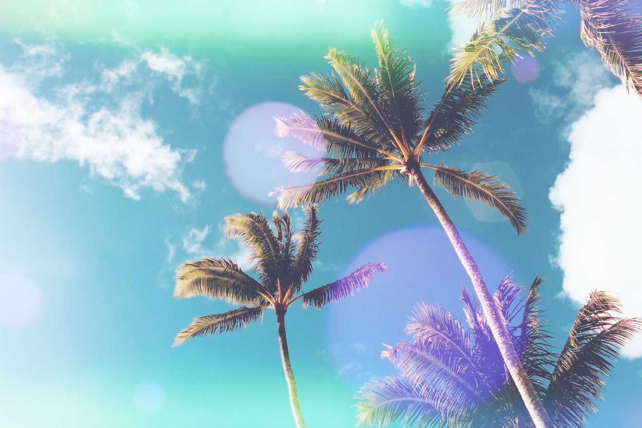 彩色胶片烧痕漏光素材 100+款6K高清JPEG纹理 PS/PR/AE/FCPX/达芬奇设计视频后期素材 Sickboat - Color Photo Film Burn Images + Light Leaks (6K)