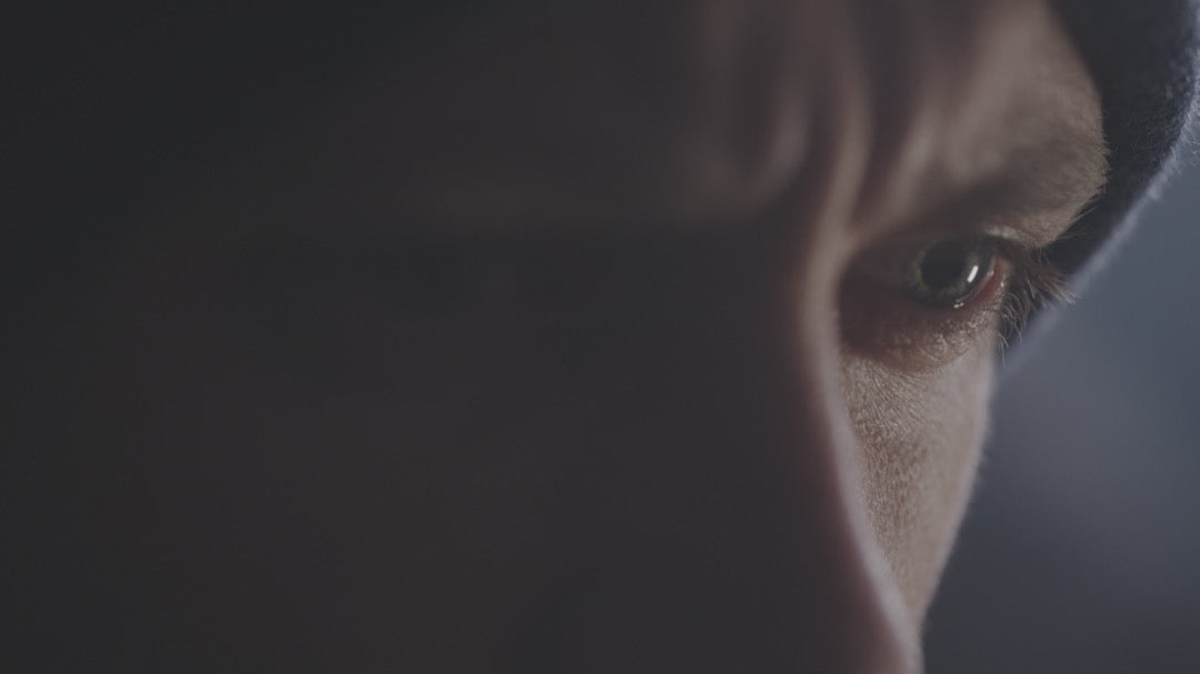 电影调色LUT预设 好莱坞复古风格LR预设包 GradeFruit 15款达芬奇PR/FCPX/剪映通用 Movie Looks LUTs & LR Presets