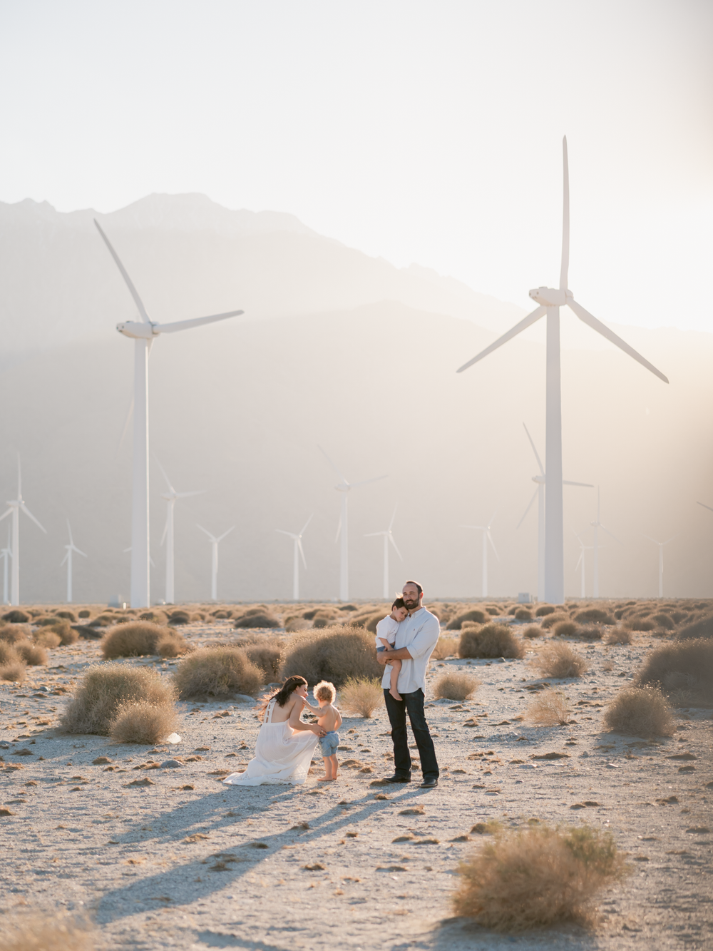 Velvetier Lightroom预设6款柔和粉彩空灵浪漫调色滤镜 婚礼肖像美术拍摄后期手机电脑版 Refined - Velvetier Lightroom Presets