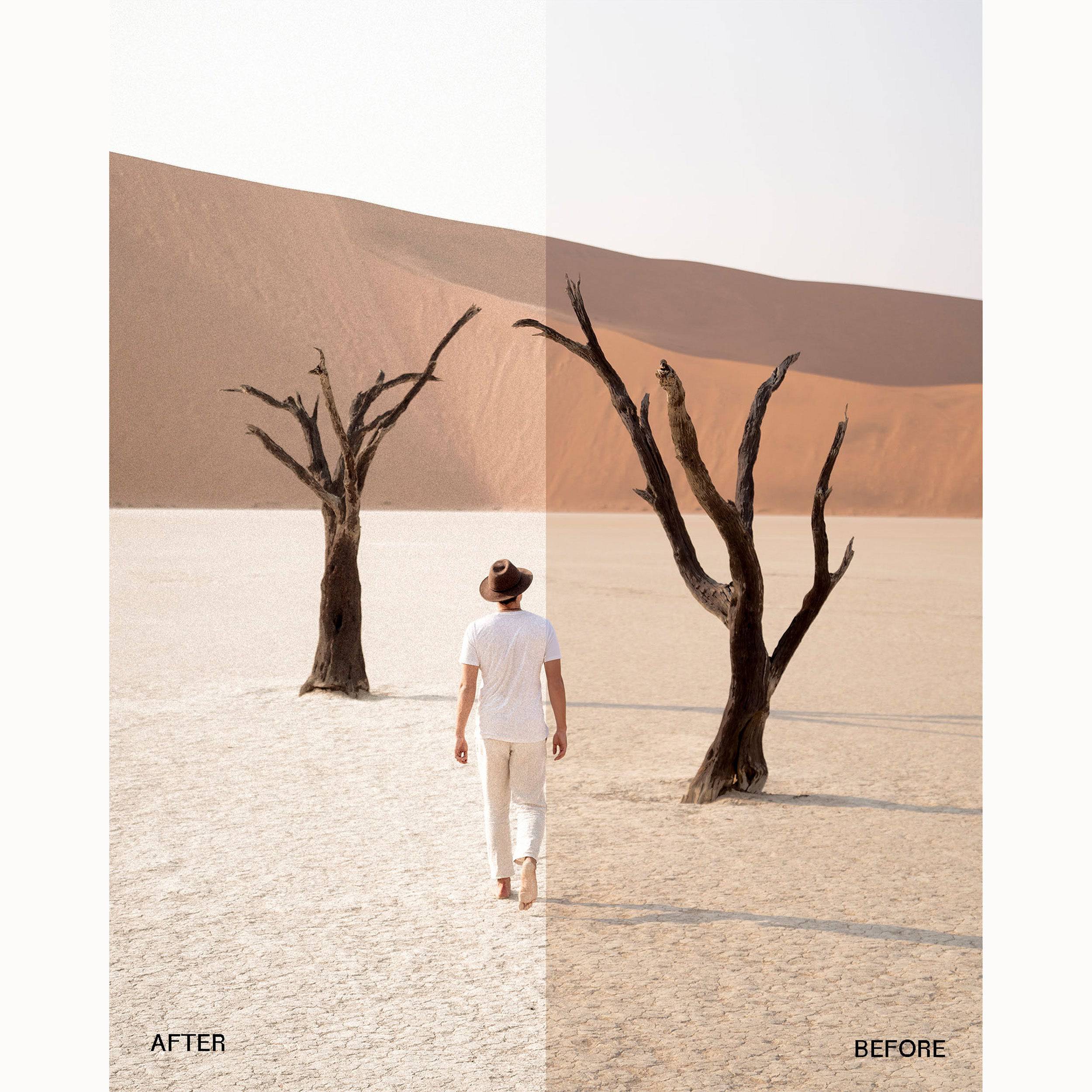 Envijon Modern Classic现代经典照片包 8款柔和色调预设+6款电影边框+颗粒锐化工具 Modern Classic Photo Pack