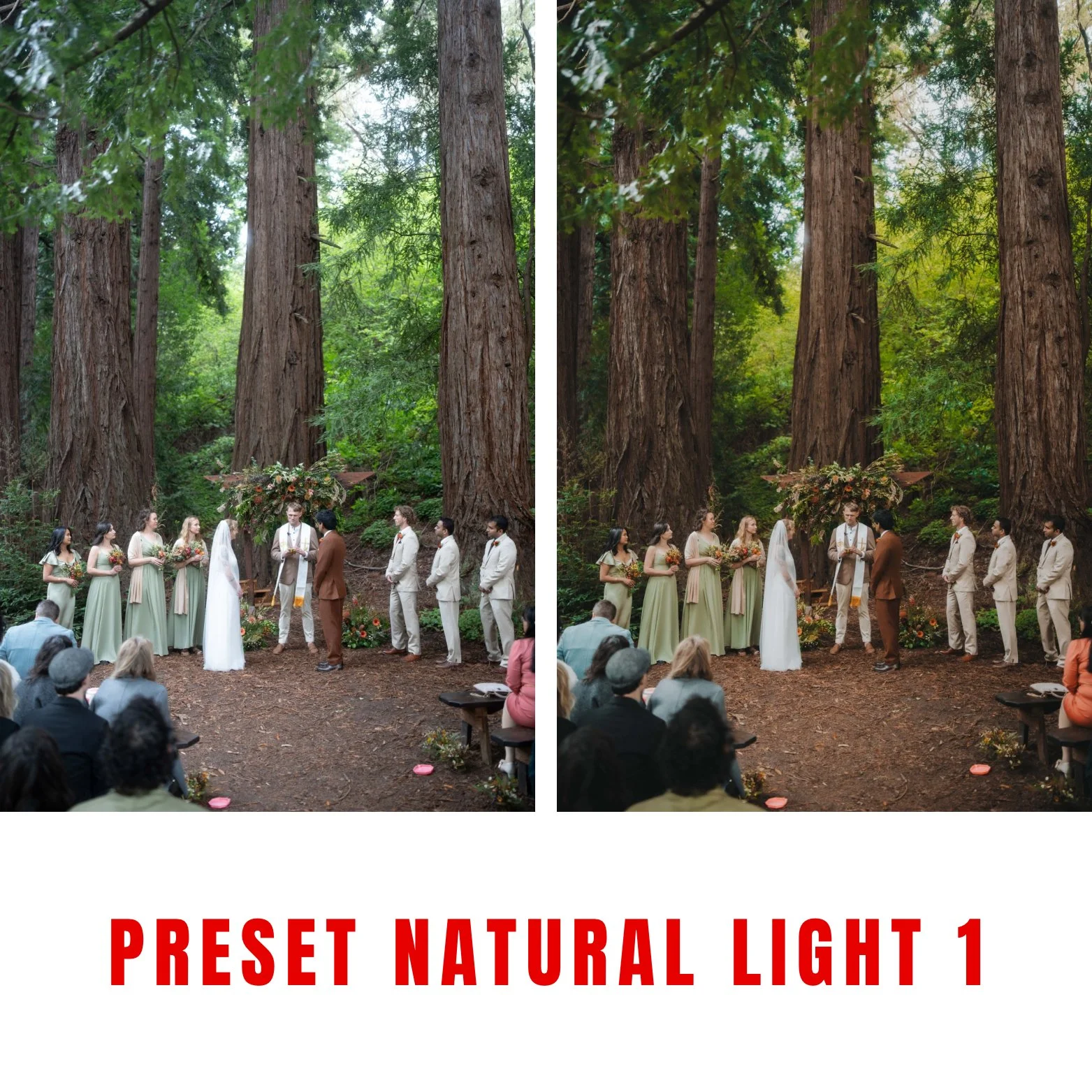 25647c60efefd00f32c8356146aeaf79