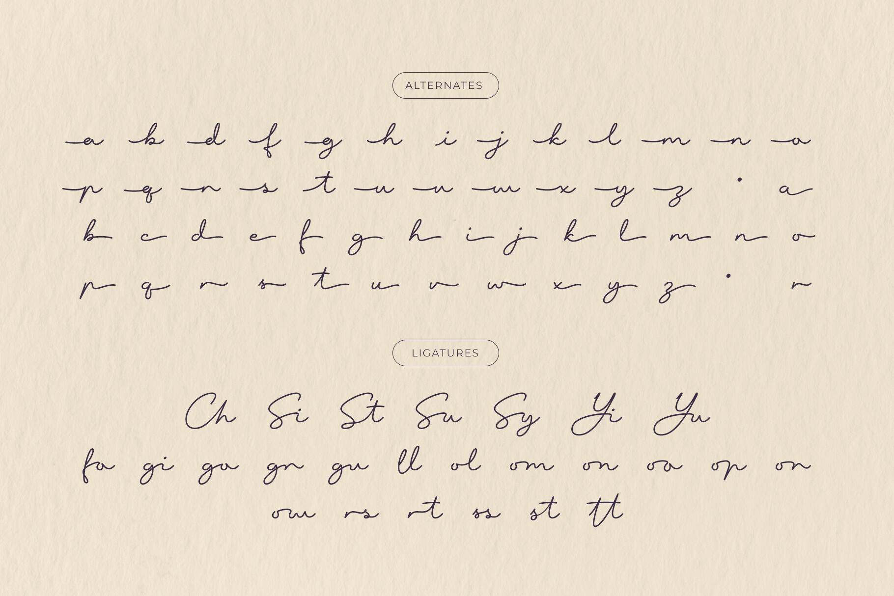 Vista Chopers 手写字体 - 优雅英文手写体下载 适用于品牌设计与婚礼请柬制作