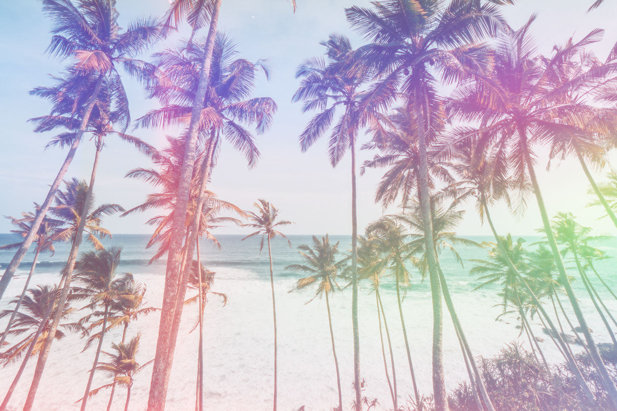 彩色胶片烧痕漏光素材 100+款6K高清JPEG纹理 PS/PR/AE/FCPX/达芬奇设计视频后期素材 Sickboat - Color Photo Film Burn Images + Light Leaks (6K)