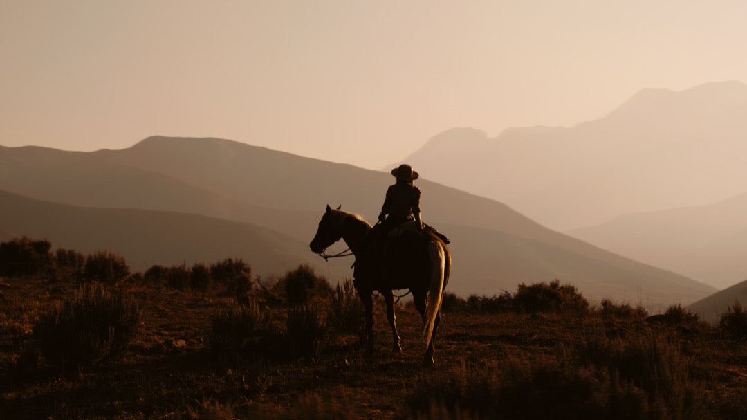 电影调色LUT预设 好莱坞复古风格LR预设包 GradeFruit 15款达芬奇PR/FCPX/剪映通用 Movie Looks LUTs & LR Presets