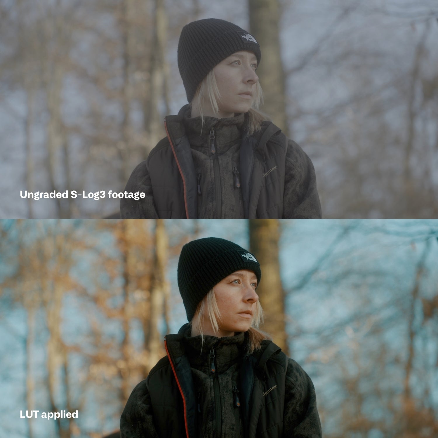 Cinem8 索尼SLog3电影级LUT预设10个.cube文件 FX3/FX30/A7SIII/A7IV/ZV-E1专用视频调色滤镜