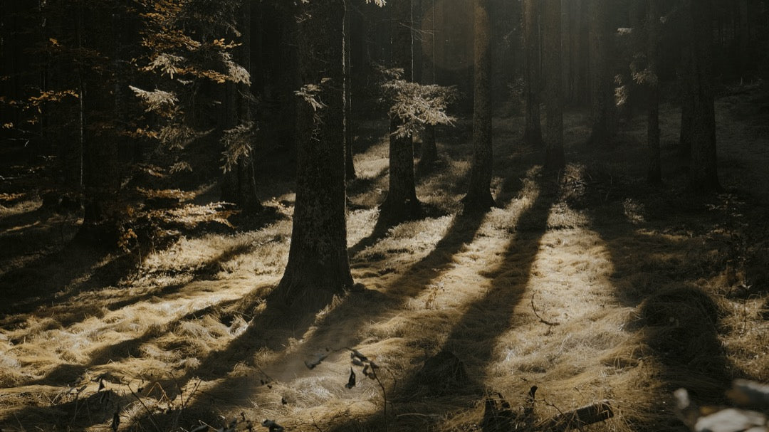 北欧自然风LUT预设18款.cube .xmp .dng多平台支持LR/PR/达芬奇调色GradeFruit - Nordic Tales LUTs & LR Presets