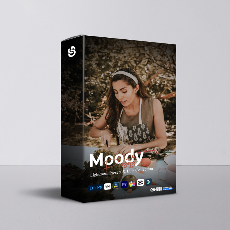 Moody情绪氛围感Lightroom预设LUT套装12个 深沉阴影电影感色调手机电脑通用调色滤镜 Moody Lightroom Presets & Luts Collection