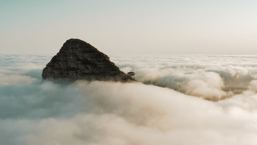 Mavic 2 Pro电影级LUT与降噪工具包 专为D-Log M优化 30款LUT+42个降噪配置文件全集 SpectrumGrades – Cine Collection DJI Mavic 2 Pro LUTs & Tools Pack