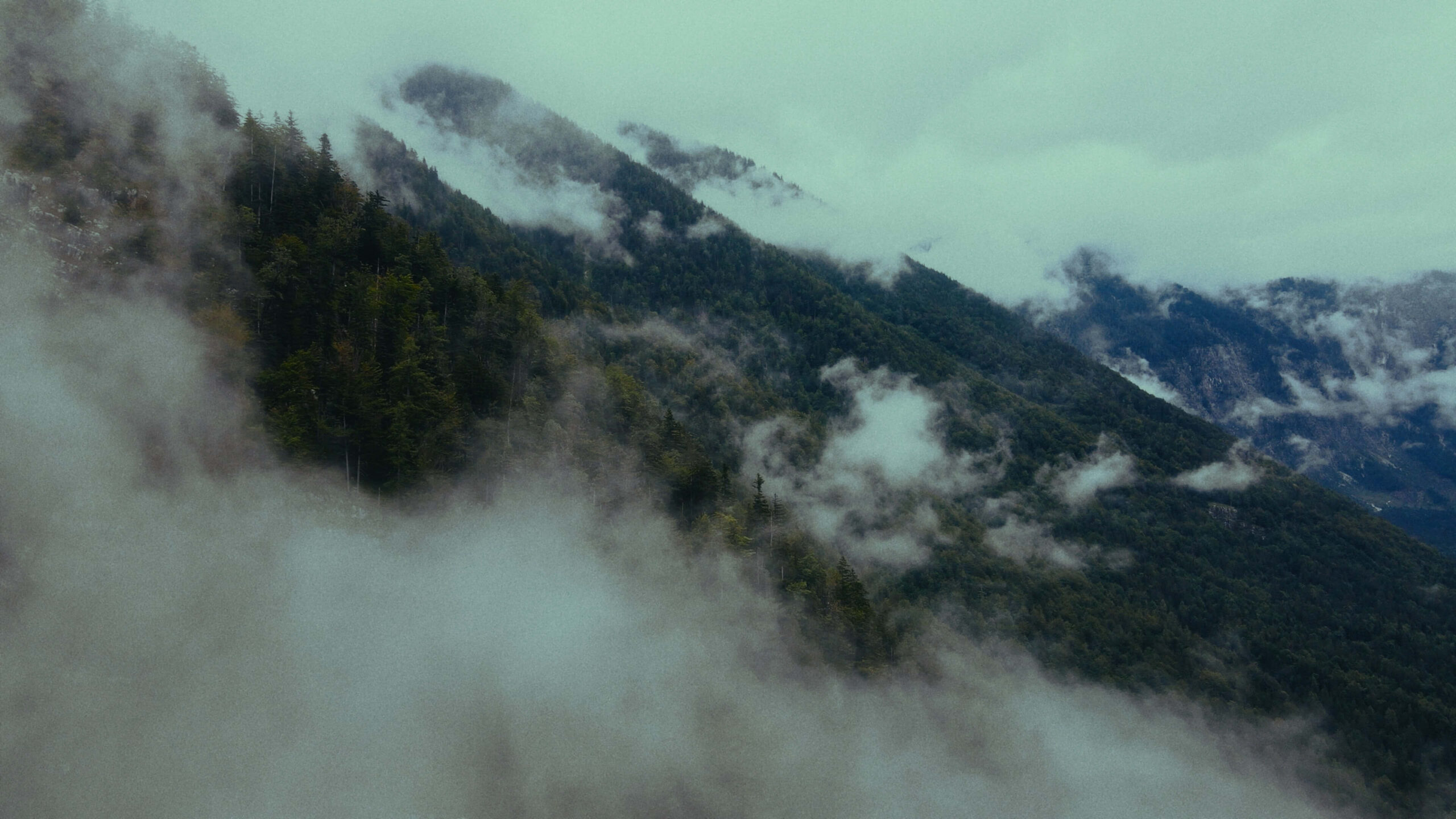 57301f9d98f9c437c0c36c92391ccec6