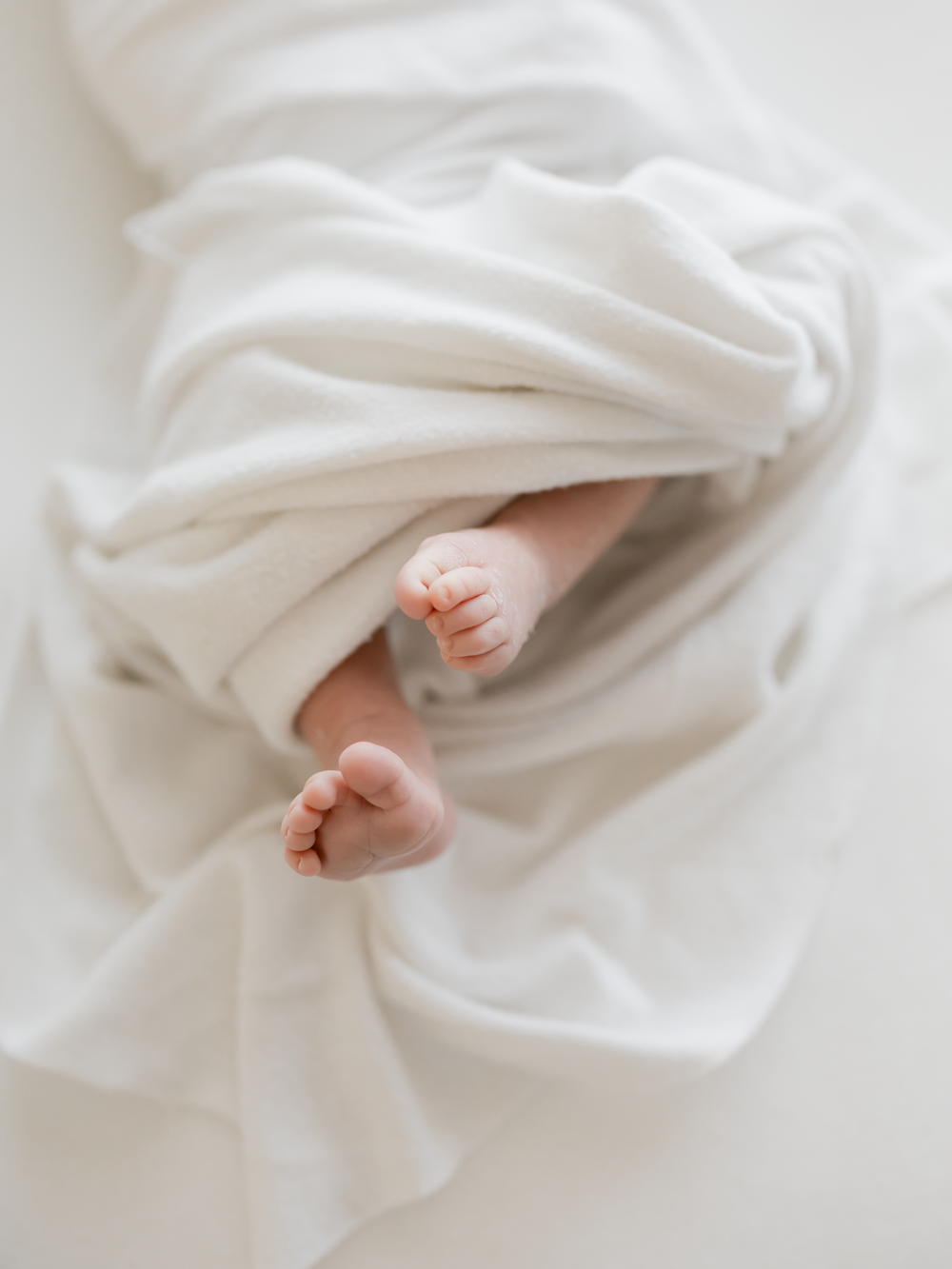 Velvetier Lightroom预设6款柔和粉彩空灵浪漫调色滤镜 婚礼肖像美术拍摄后期手机电脑版 Refined - Velvetier Lightroom Presets