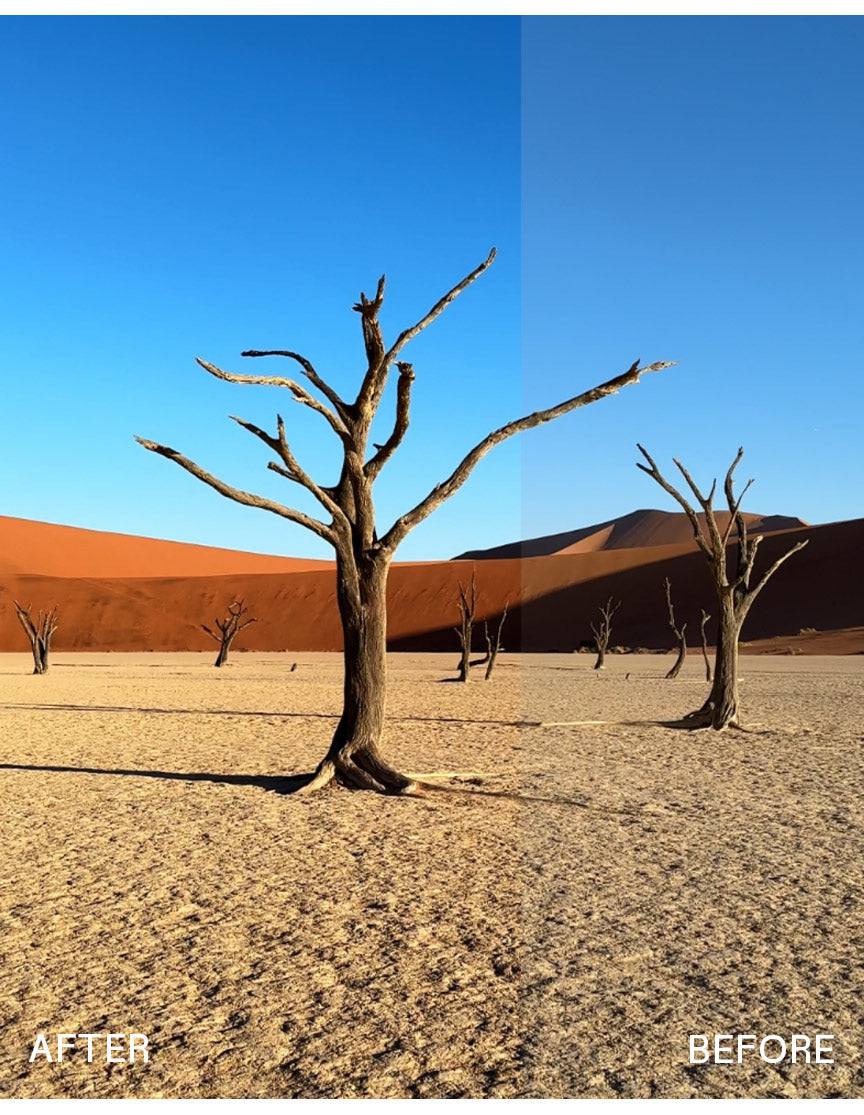 Envijon Modern Classic移动端LUT调色包 11款粉彩永恒色调 带强度滑块 支持手机视频剪辑 Modern Classic Mobile LUTs