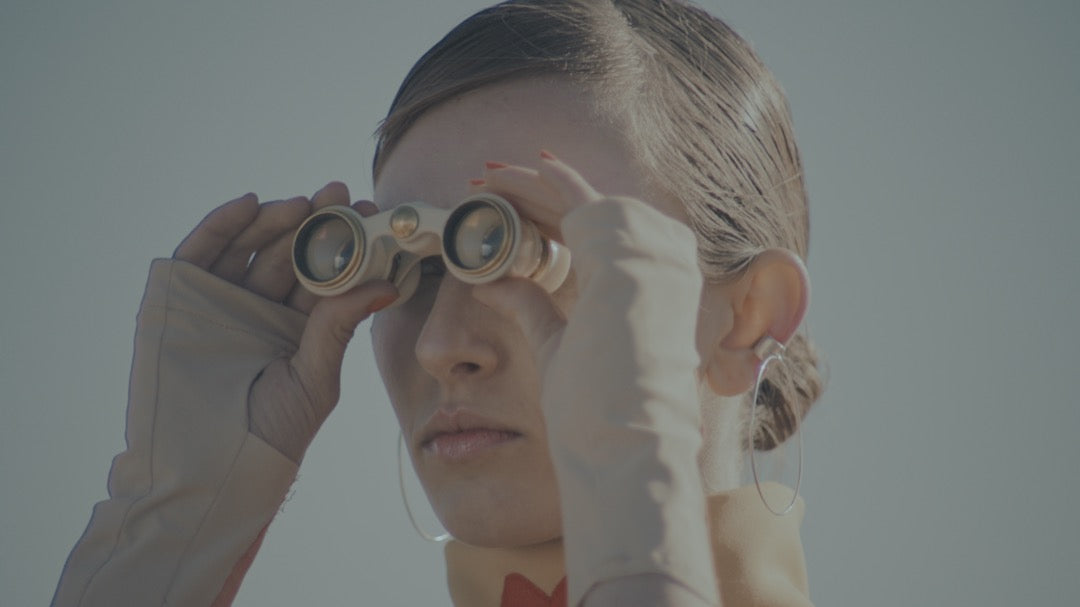 GradeFruit韦斯·安德森风格LUT与LR预设 15款古怪柔和电影感调色 支持PR达芬奇FCPX