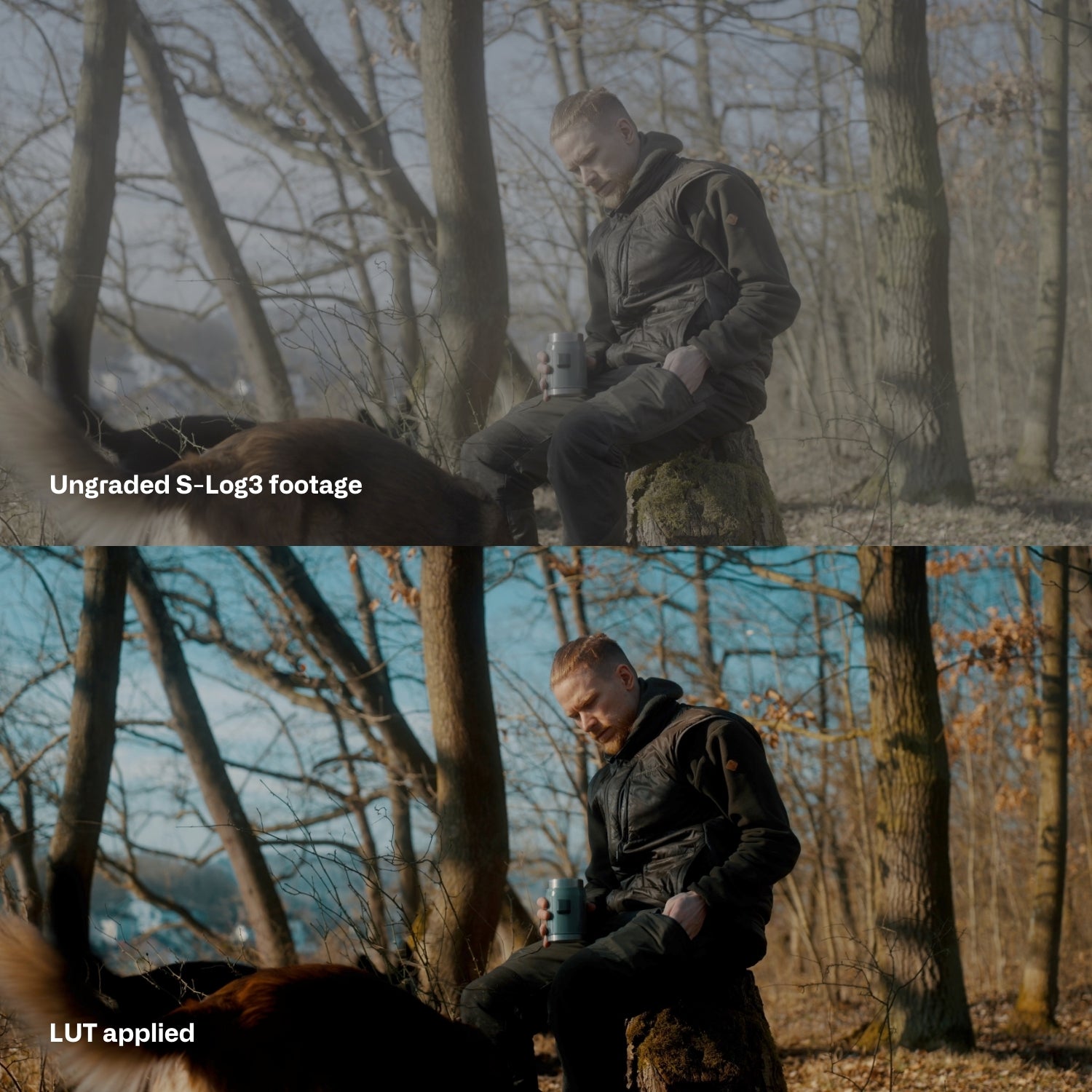 Cinem8 索尼SLog3电影级LUT预设10个.cube文件 FX3/FX30/A7SIII/A7IV/ZV-E1专用视频调色滤镜