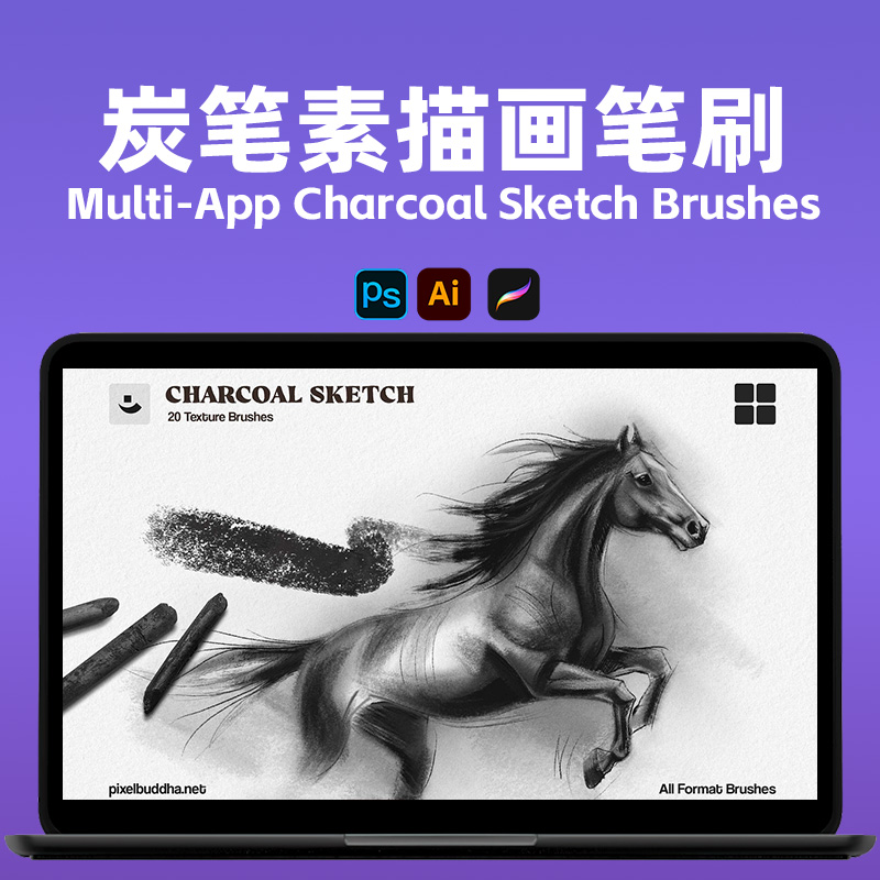 炭笔素描笔刷套装 Charcoal Brushes 10支+涂抹混色 纸纹质感 JPG PS Procreate Multi-App Charcoal Sketch Brushes