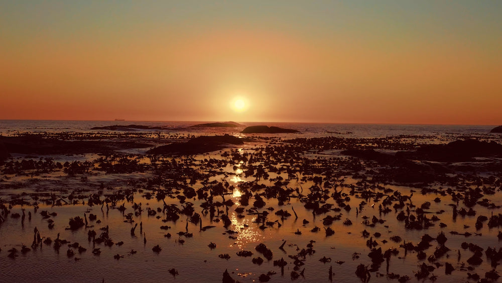 Mavic 2 Pro电影级LUT与降噪工具包 专为D-Log M优化 30款LUT+42个降噪配置文件全集 SpectrumGrades – Cine Collection DJI Mavic 2 Pro LUTs & Tools Pack