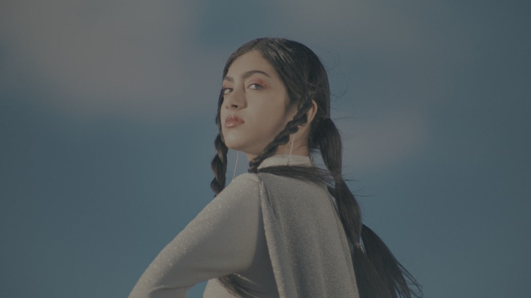 GradeFruit韦斯·安德森风格LUT与LR预设 15款古怪柔和电影感调色 支持PR达芬奇FCPX