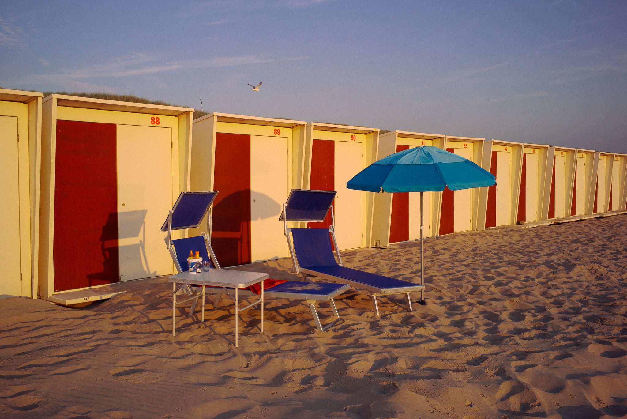 79d0592364de72bdaaf043d8e88cf242