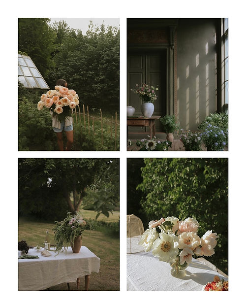 Anna Kubel - Presets Looks like film 电影预设