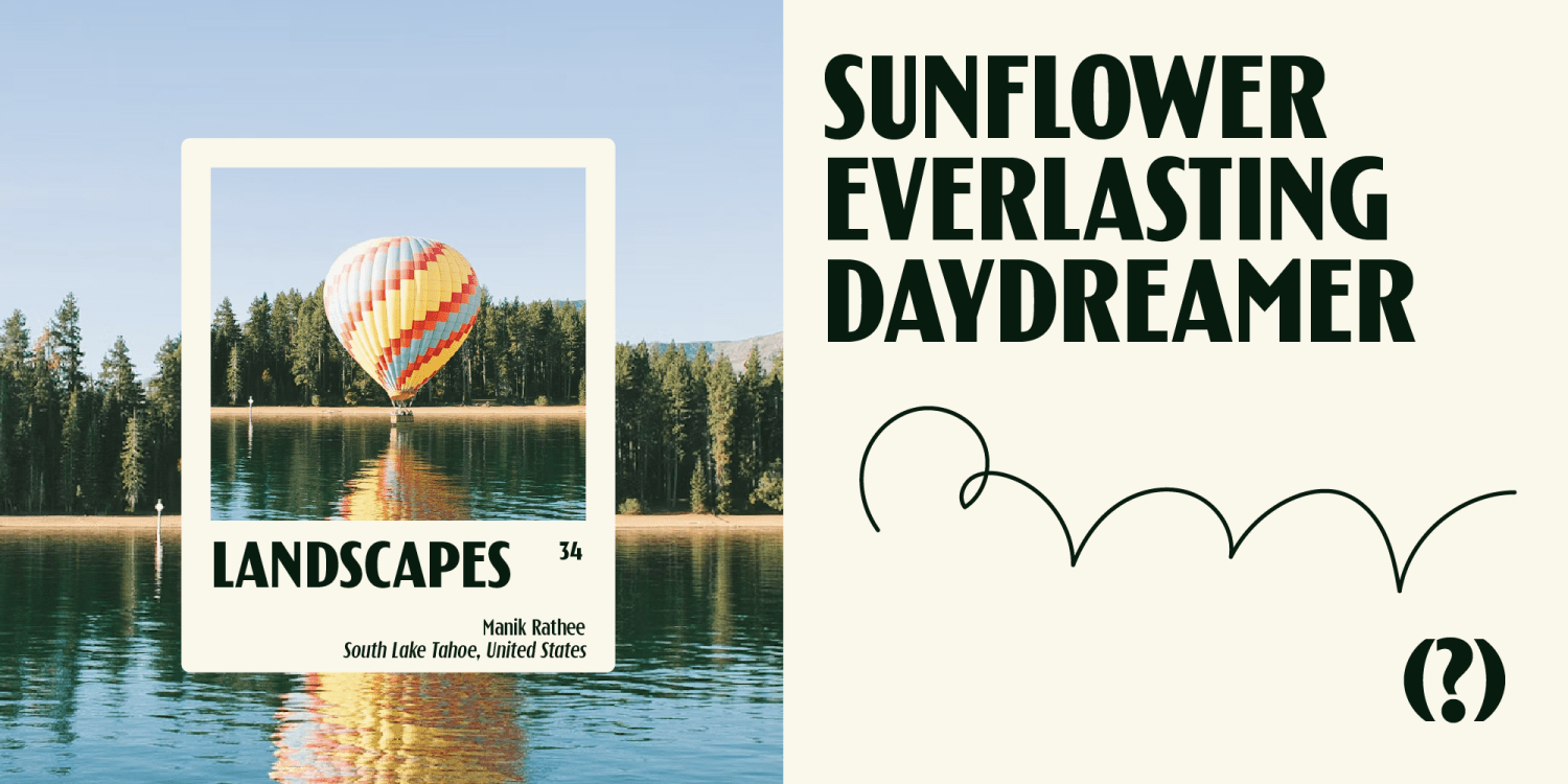 Tortillez 无衬线字体家族 10个OTF文件 坚实干净人文细节标题海报标识设计英文字体