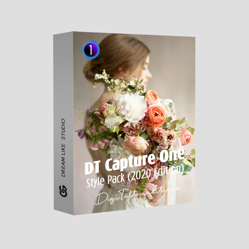 Capture One专业风格包约150款调色预设 人像肤色修饰电影感调色风景摄影后期C1滤镜 DT Capture One Style Pack