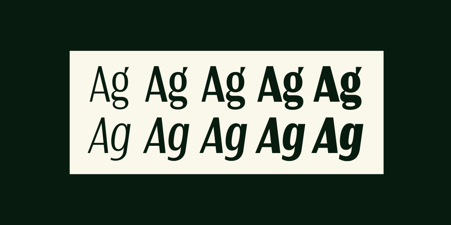 Tortillez 无衬线字体家族 10个OTF文件 坚实干净人文细节标题海报标识设计英文字体