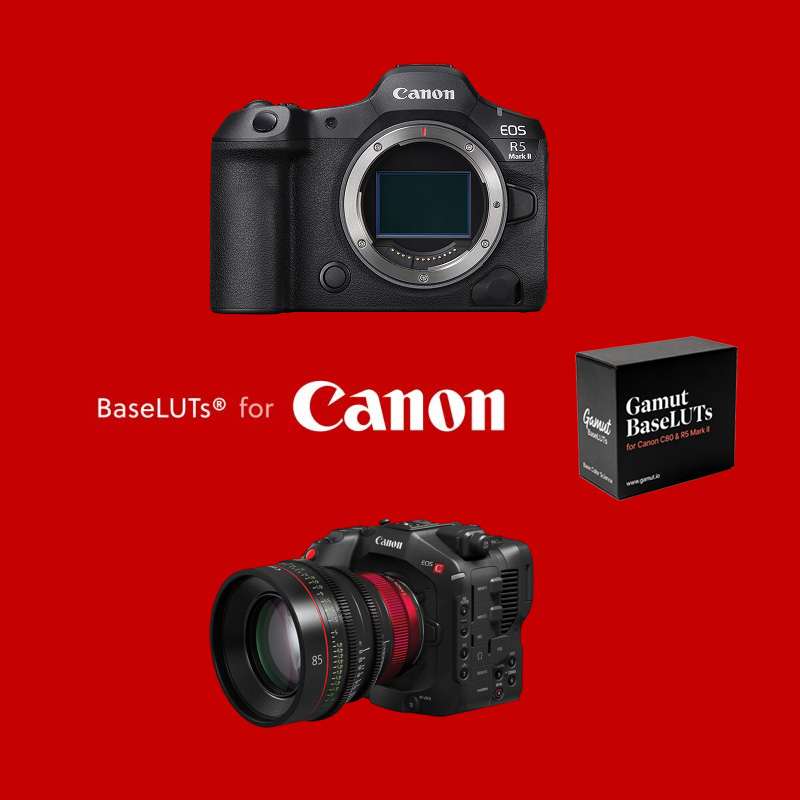 佳能C-Log3专业色彩还原监看LUT预设包 BaseLUTs支持Rec709与Arri709电影级调色 Canon C80 and R5 Mark II