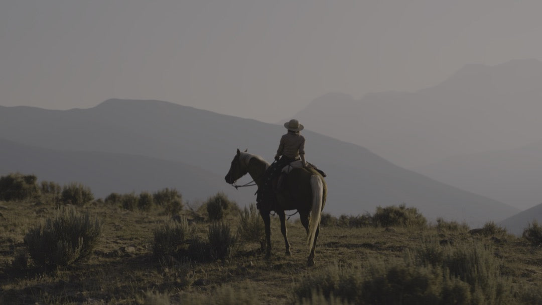 电影调色LUT预设 好莱坞复古风格LR预设包 GradeFruit 15款达芬奇PR/FCPX/剪映通用 Movie Looks LUTs & LR Presets