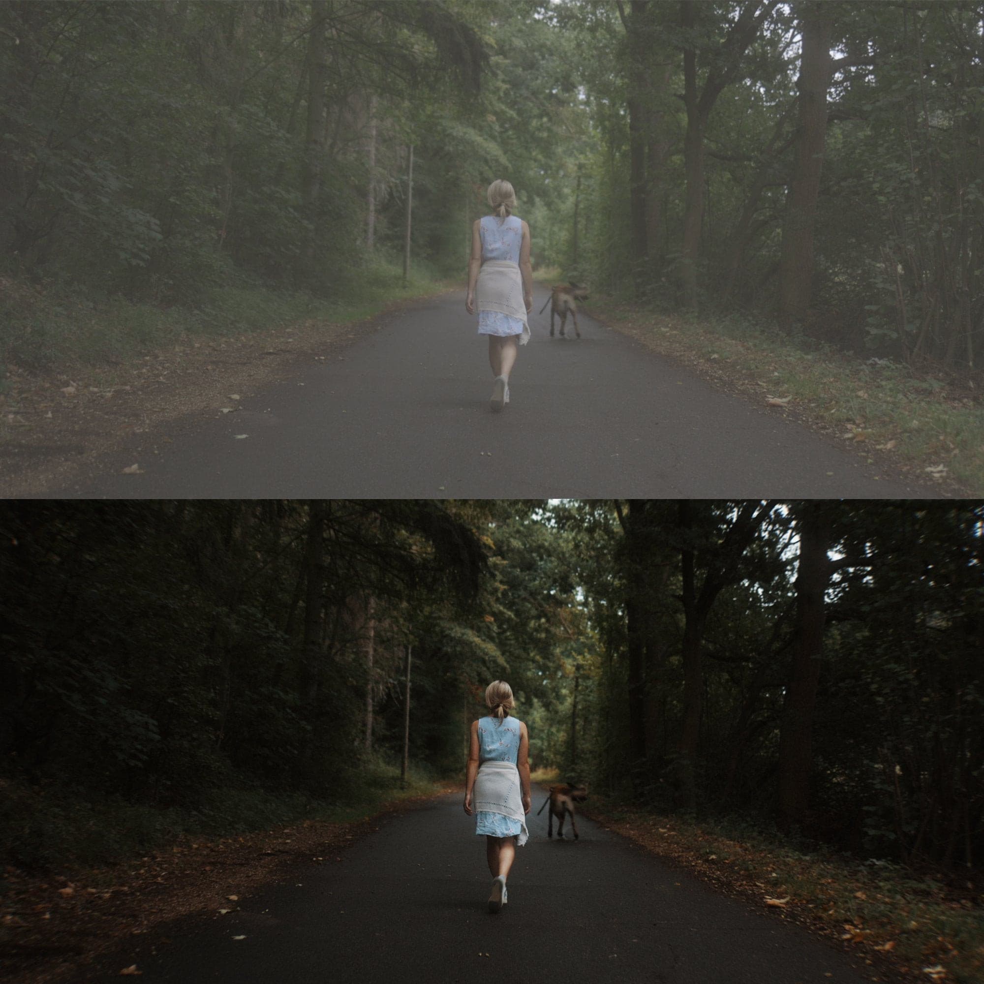 Cinem8 佳能电影级 LUT预设10个.cube文件 R5/R6/R3系列Clog3/Cinestyle视频调色达芬奇PR/FCPX