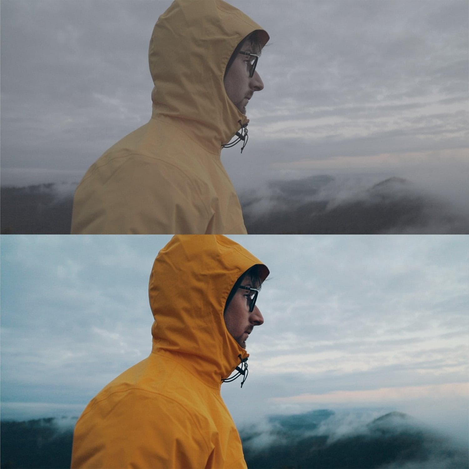 电影感LUT调色预设包50个.cube文件 索尼佳能富士iPhone多相机通用PR/达芬奇/FCPX剪辑 Cinematic LUTs Bundle