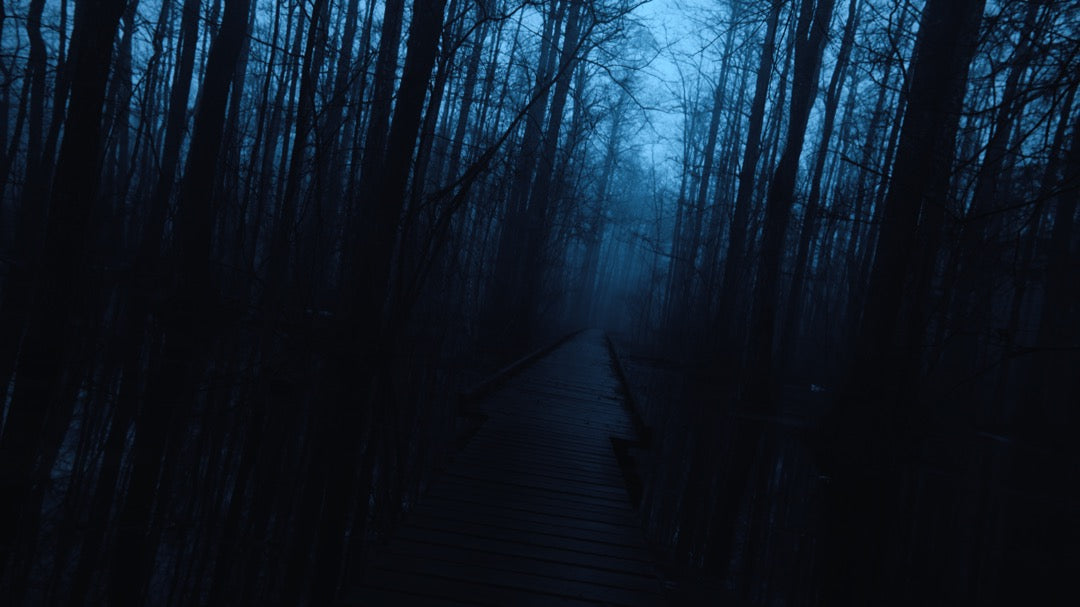 电影大片感LUT预设套装16款Blockbuster V2风格 饱和动态色调PR/达芬奇/FCPX/LR通用 GradeFruit - Blockbuster V2 LUTs & LR Presets