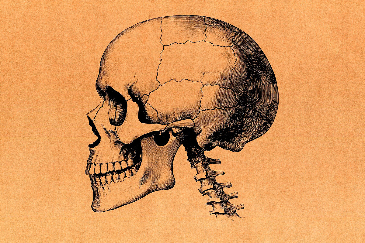 正宗牛皮纸纹理 32 款高质量 JPG 素材 4500x3000 像素 300DPI 设计项目照片品牌识别用高清纹理包