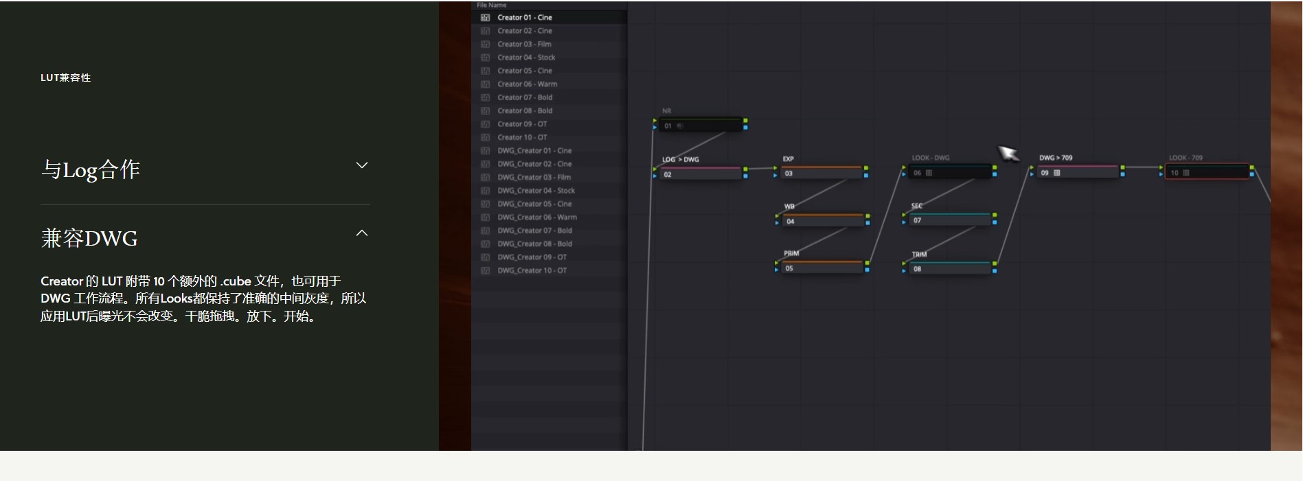 Gamut Creator LUT专业调色合集 20个.cube文件 含10种电影感风格 Rec709与DWG双版本 Gamut - The Creator LUT Collection