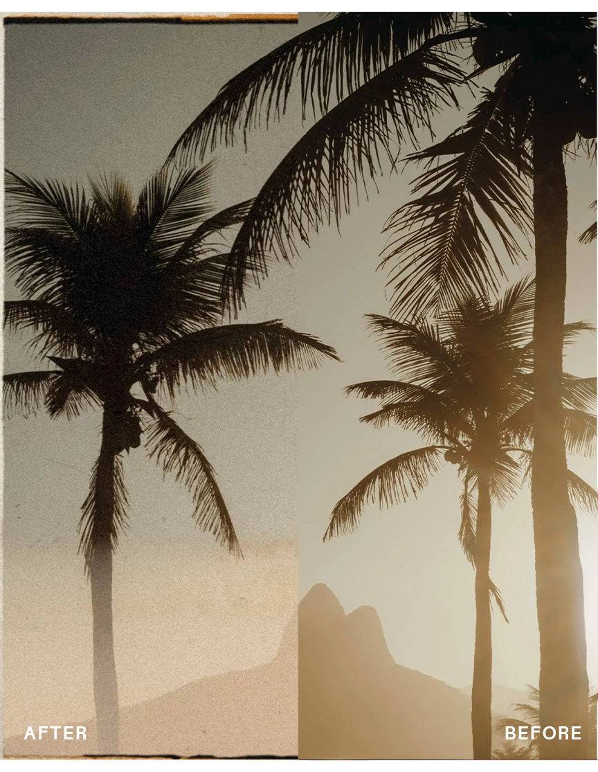 Envijon Real Film真实胶片照片包 35mm胶片扫描边框/漏光/烧毁/尘痕叠加 高分辨率素材 Real Film Photo Pack Collection