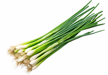 绿叶蔬菜免扣PNG素材52张 高清透明背景健康饮食食谱设计电商详情页配图