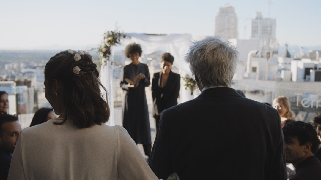 GradeFruit 婚礼经典LUT与Lightroom预设 16款.cube/.xmp/.dng 照片视频多端通用 Wedding Classic LUTs & LR Presets