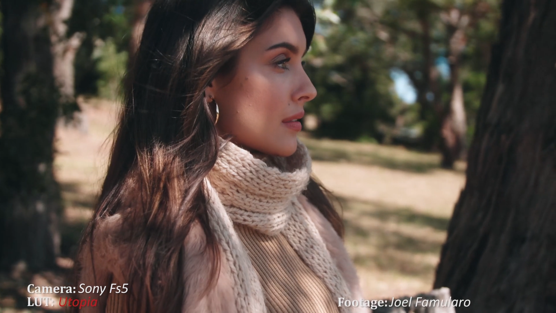 95093383256a67945919db94d7d041eb