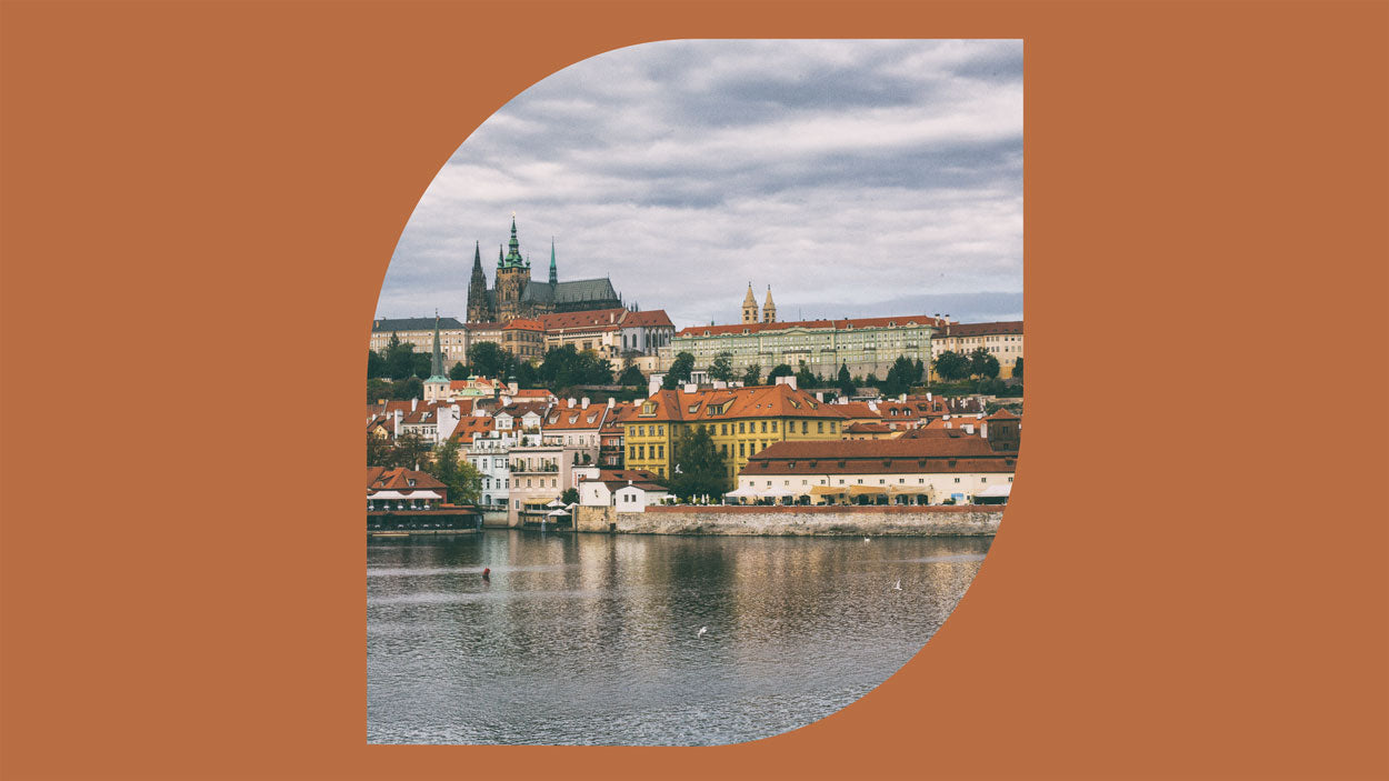 97f7fe83d2bfb10fba277c99acff13b6