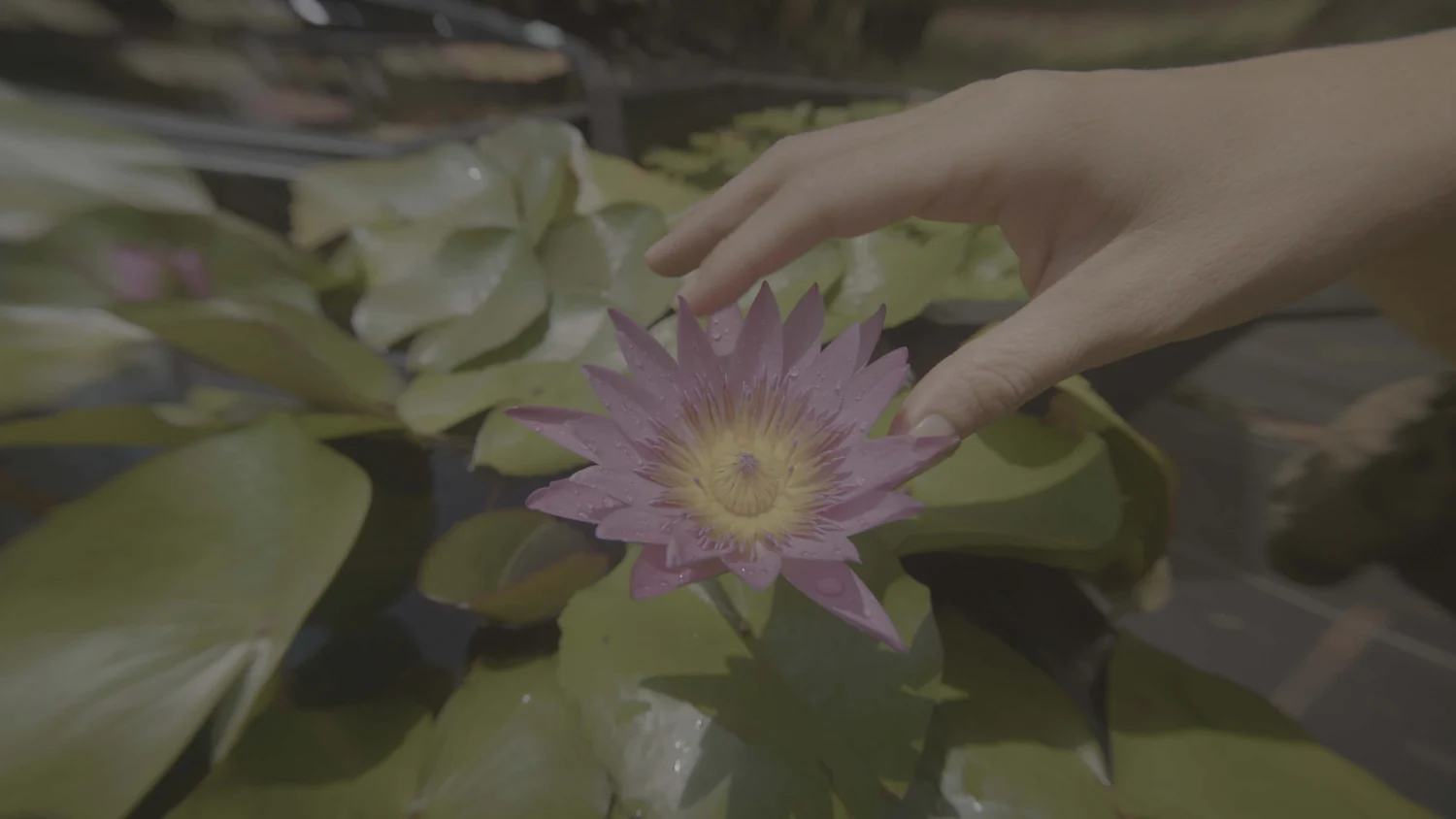 a6b53d4f260feae8f5cb8cc184c688c2