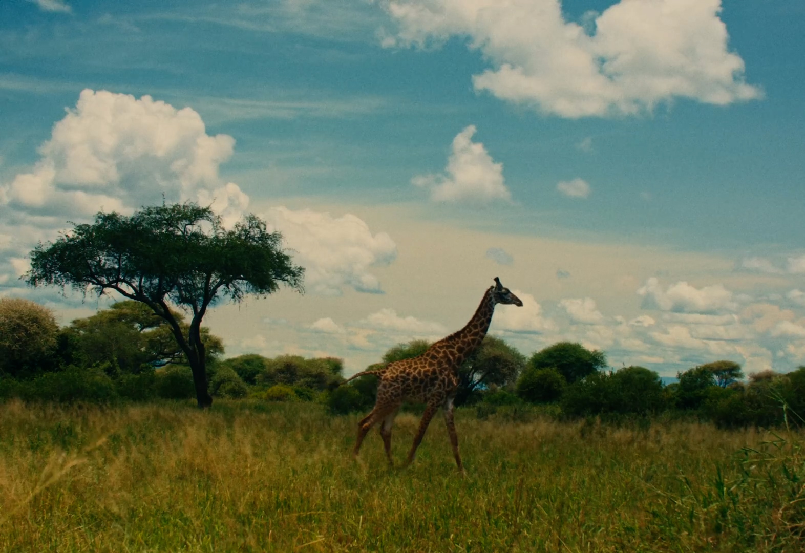 a8e2a86528932c6672f7f7d884d18e72