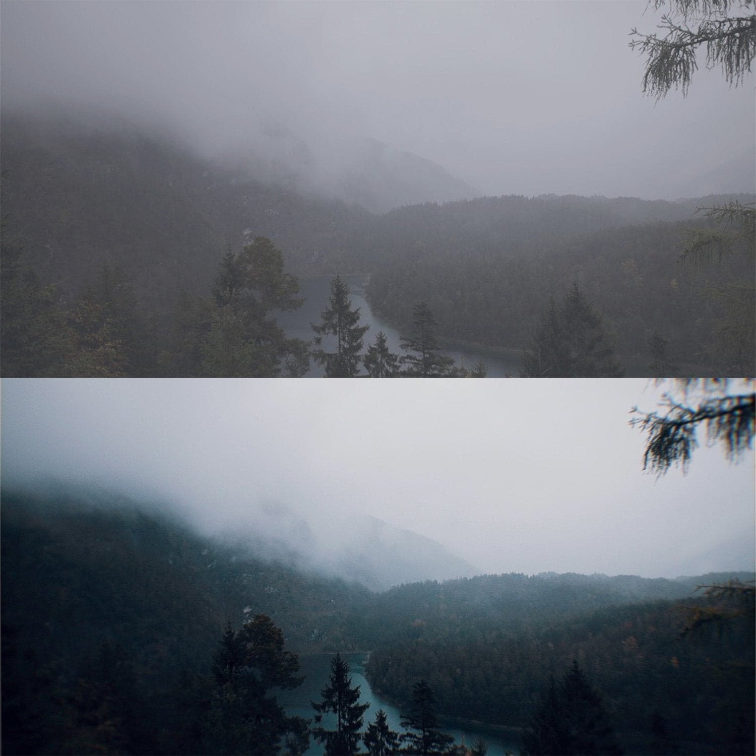 电影感LUT调色预设包50个.cube文件 索尼佳能富士iPhone多相机通用PR/达芬奇/FCPX剪辑 Cinematic LUTs Bundle