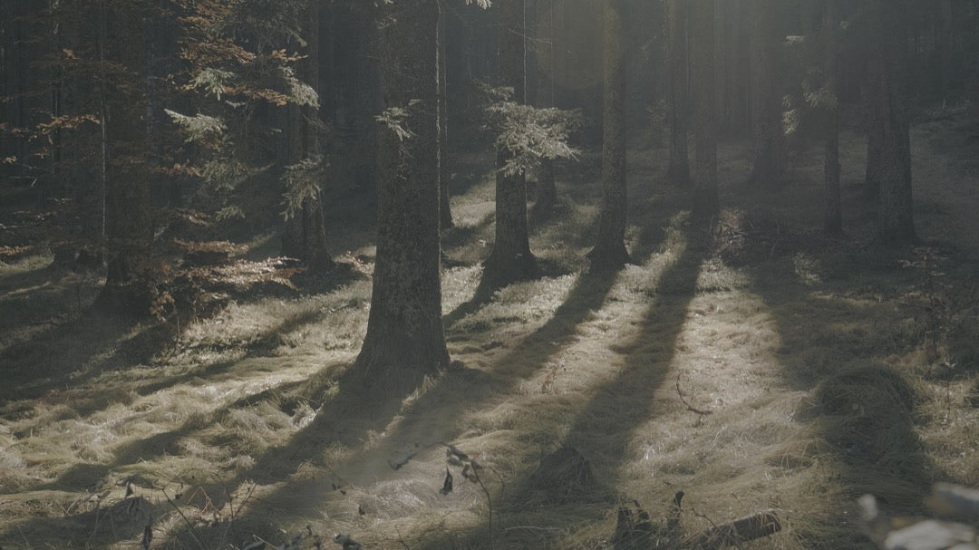 北欧自然风LUT预设18款.cube .xmp .dng多平台支持LR/PR/达芬奇调色GradeFruit - Nordic Tales LUTs & LR Presets