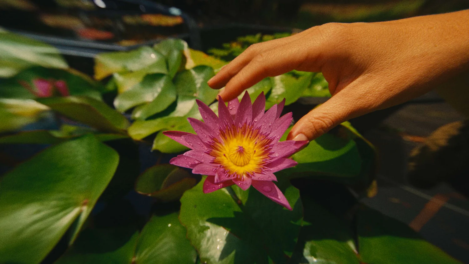 b330557232aa99a4301b14cb9e9f64cf