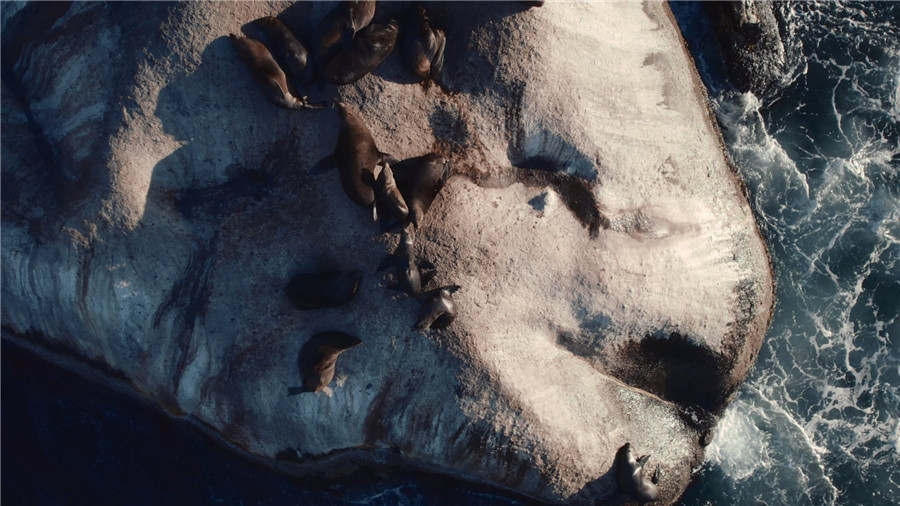 b8b40dfce6d12099fb48961870876fa5