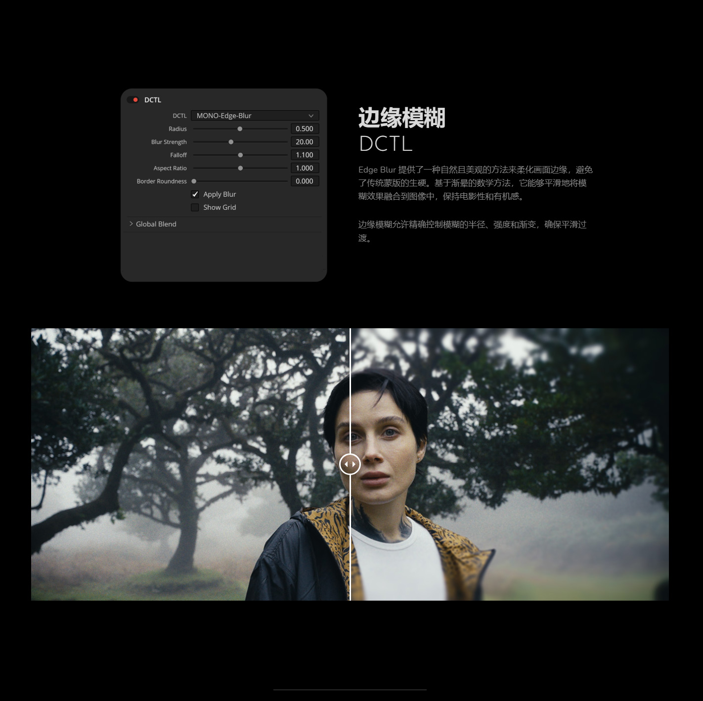 达芬奇DCTL插件 胶片模拟工具包V2.0 真实颗粒光晕暗角片门抖动镜头畸变特效 MONONODES – FILM ELEMENTS DCTLS V2.0