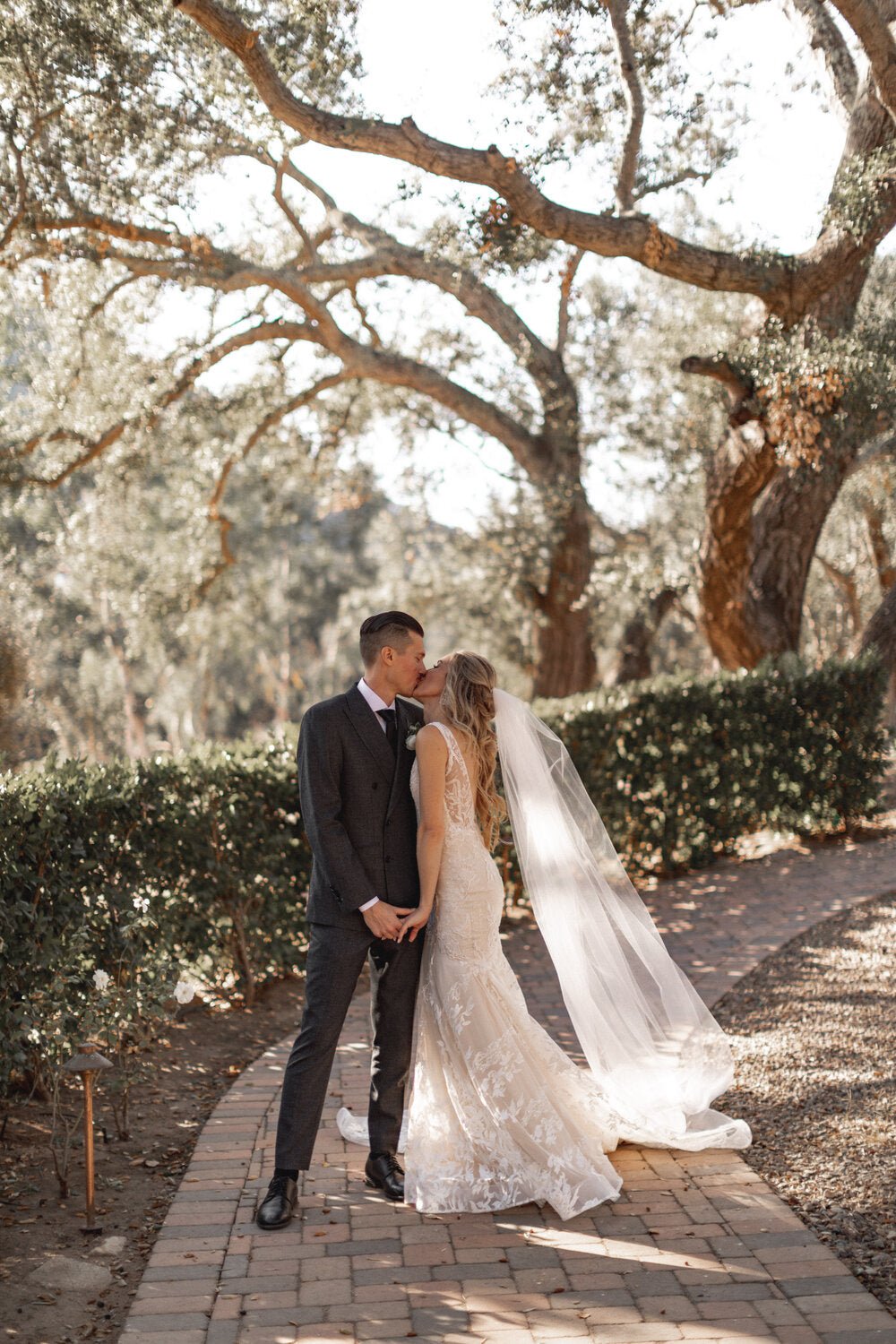 婚礼LUT调色预设10个含5种强度 专业合同时间线模板 胶片颗粒漏光4K叠加视频后期素材 TropicColour - WEDDING ESSENTIALS