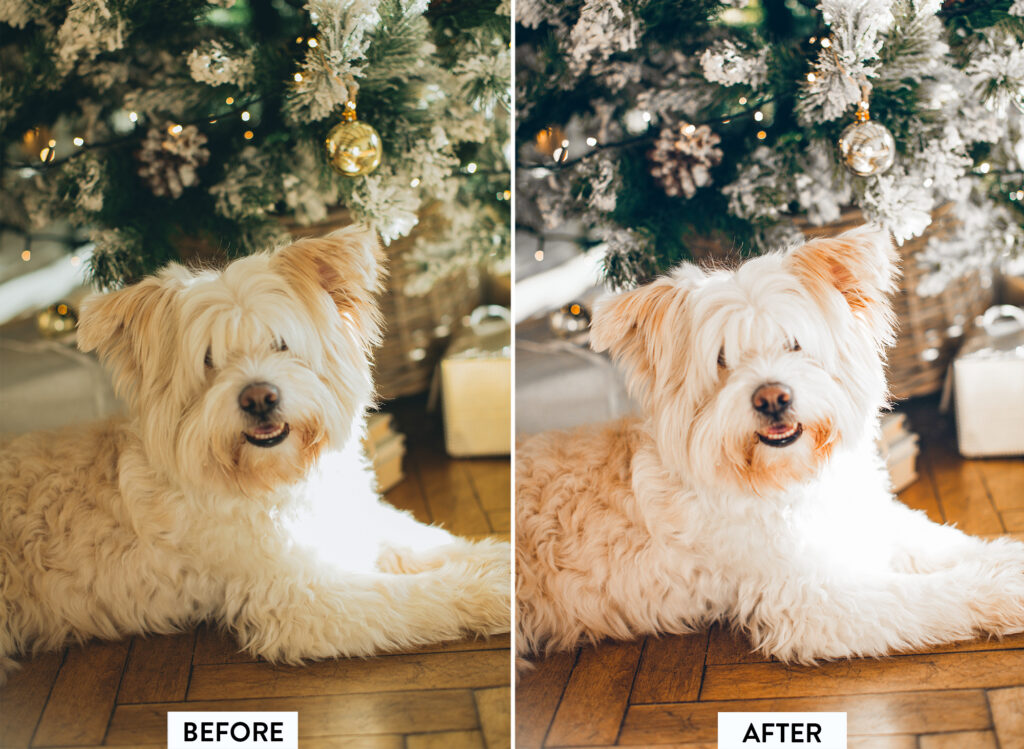 圣诞Lightroom预设10个温馨节日雪景滤镜 家庭室内摄影后期手机电脑LR/ACR通用调色 Filtergrade - CHRISTMAS Lightroom Preset