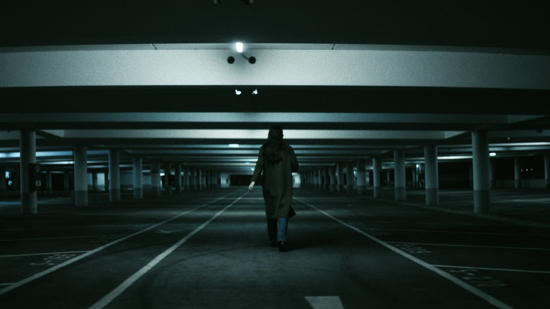 电影大片感LUT预设套装16款Blockbuster V2风格 饱和动态色调PR/达芬奇/FCPX/LR通用 GradeFruit - Blockbuster V2 LUTs & LR Presets