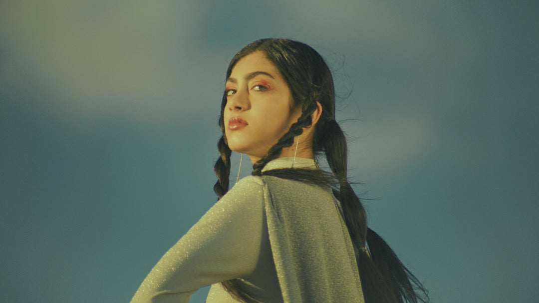 GradeFruit韦斯·安德森风格LUT与LR预设 15款古怪柔和电影感调色 支持PR达芬奇FCPX