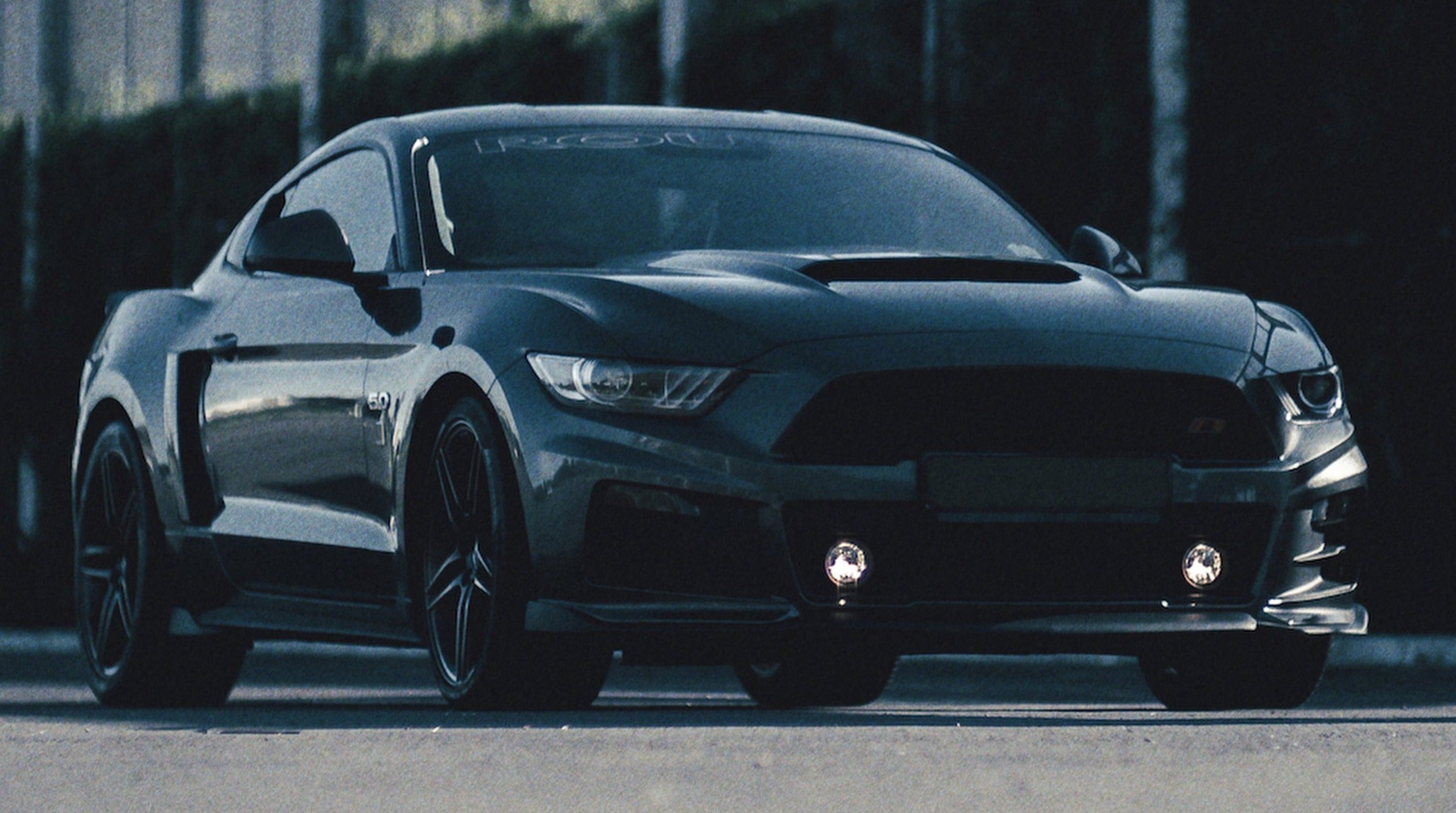 SpectrumGrades超胶片颗粒叠加素材 模拟8mm/16mm/35mm真实有机胶片质感 4K专业视频