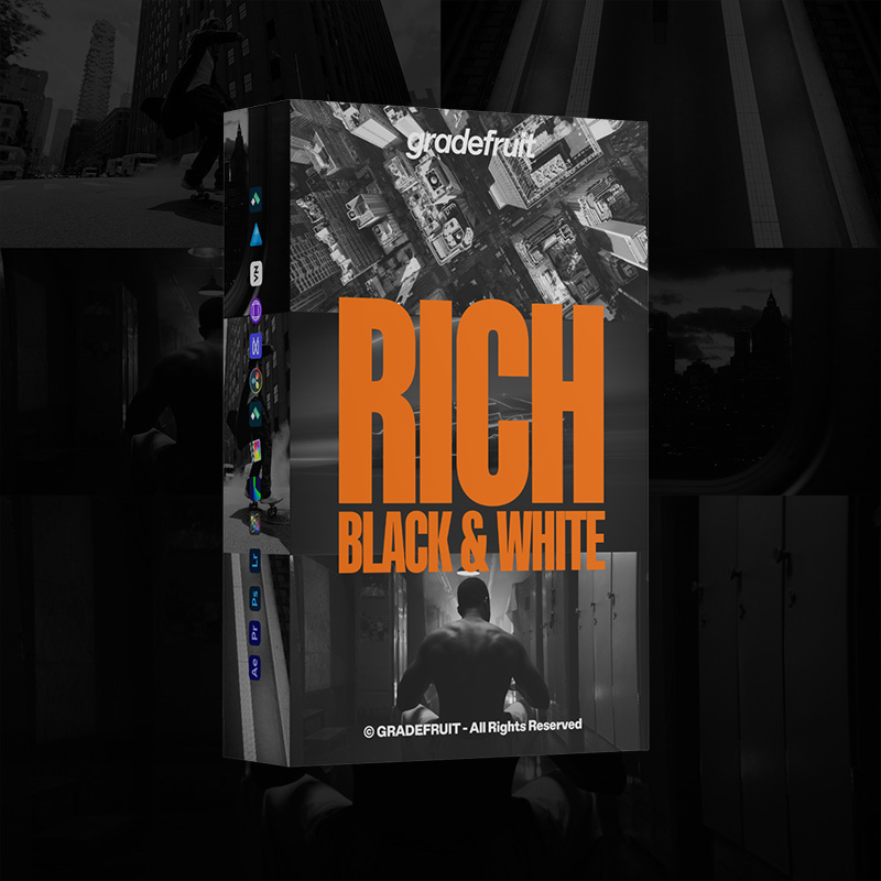 专业黑白调色LUT预设14款Rich Black and White风格 全软件兼容LR/PR/达芬奇视频照片 GradeFruit - Rich Black and White LUTs & LR Presets